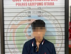 Tim Cobra Sat Narkoba Polres Lampung Utara Ringkus Tersangka Bandar Ganja, 188 Paket Ganja berhasil Diamankan