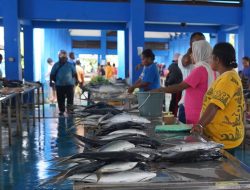 Provinsi Jawa Timur Pemasok Produksi Ikan Tangkap Terbesar Nasional